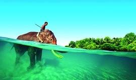 Andaman-tour-packages-from-hyderabad